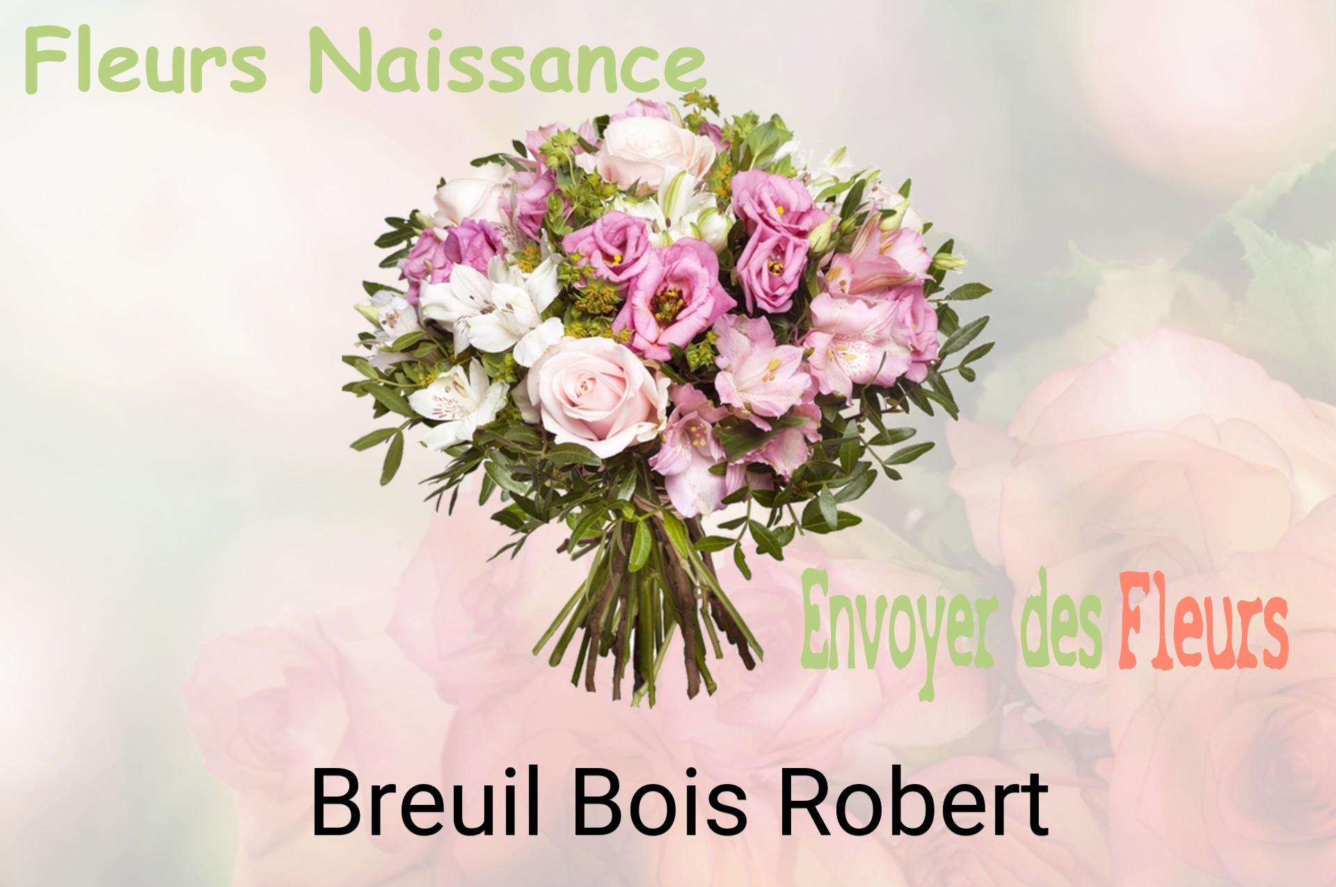 Bouquet de fleurs de naissance livré à Breuil-Bois-Robert
