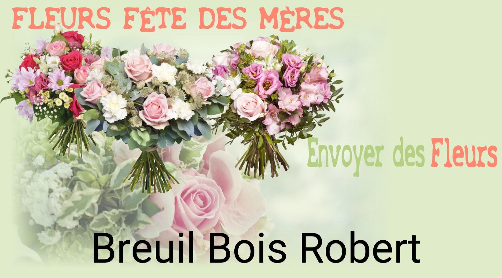 Bouquet de Fête des Mères livré à Breuil-Bois-Robert